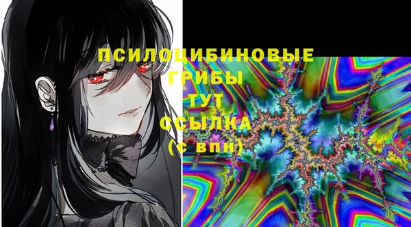 МДМА Белокуриха