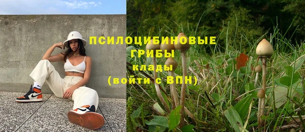молекула духа Белоозёрский