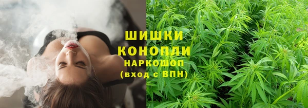 молекула духа Белоозёрский