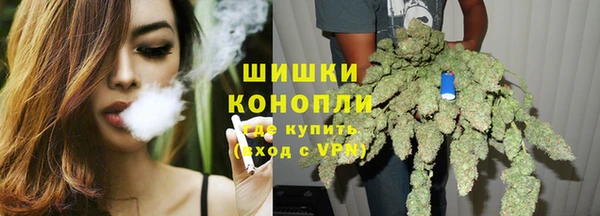 молекула духа Белоозёрский