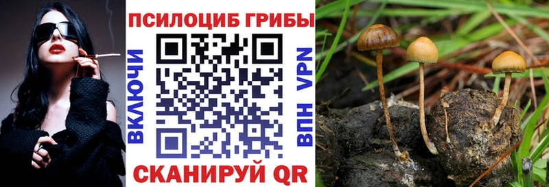 Псилоцибиновые грибы Magic Shrooms  это как зайти  Шелехов 